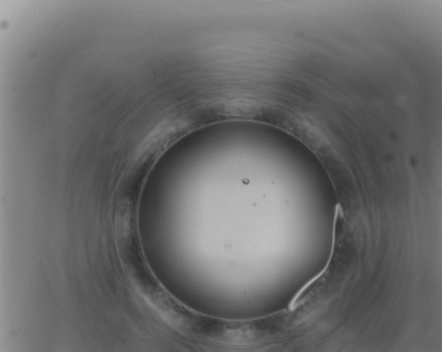 X0000062930744200601202026