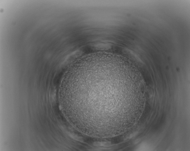 X0000062930745200601202026