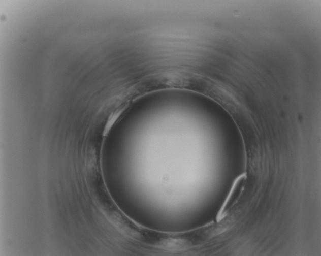 X0000062930748200601202026