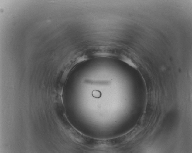 X0000062930750200601202026