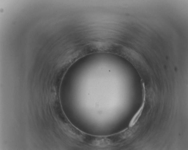 X0000062930752200601202026