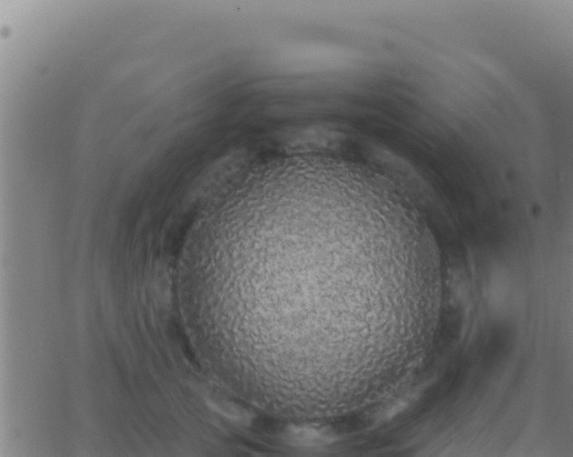 X0000062930753200601202026