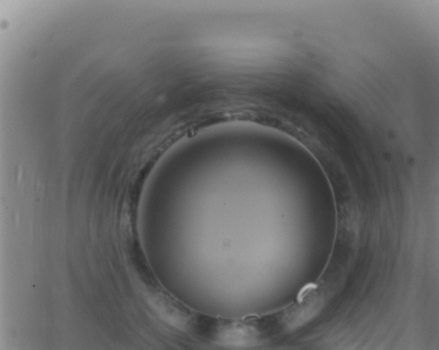 X0000062930754200601202026