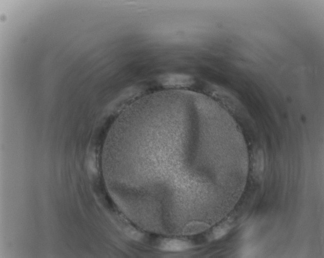 X0000062930755200601202026