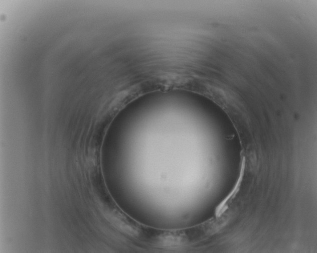 X0000062930756200601202026