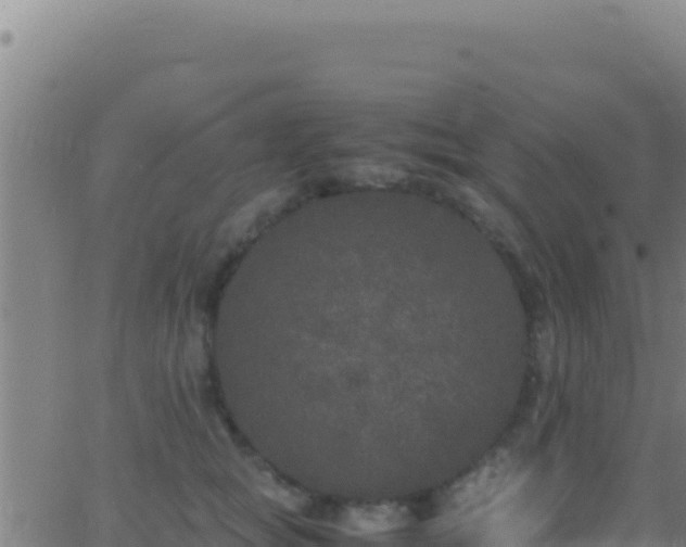 X0000062930757200601202026