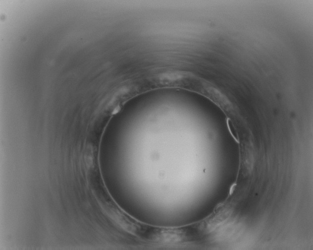 X0000062930758200601202026