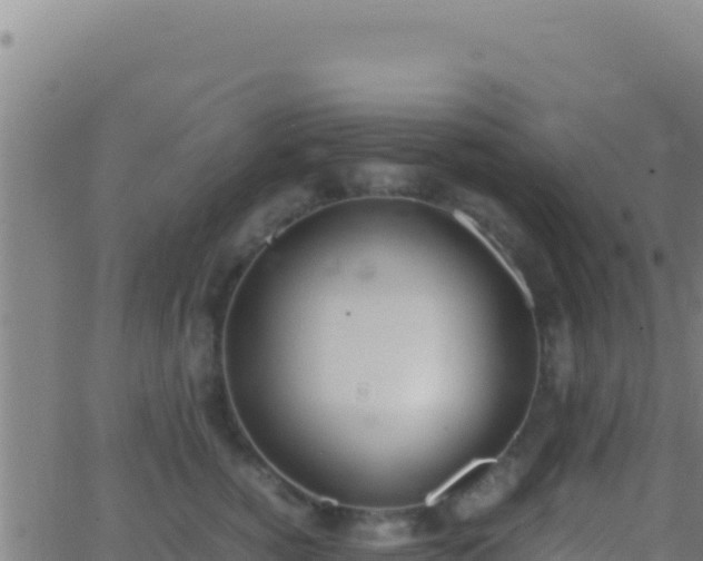 X0000062930760200601202026