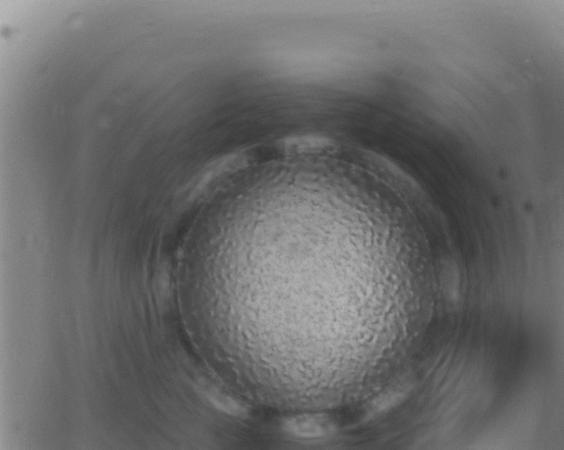 X0000062930761200601202026