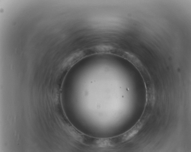 X0000062930762200601202026