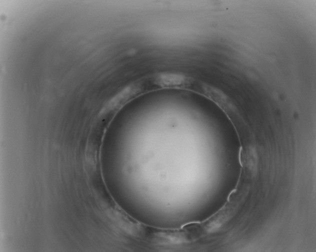 X0000062930763200601202026