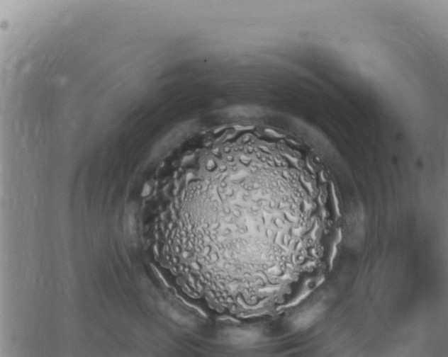 X0000062930765200601202027