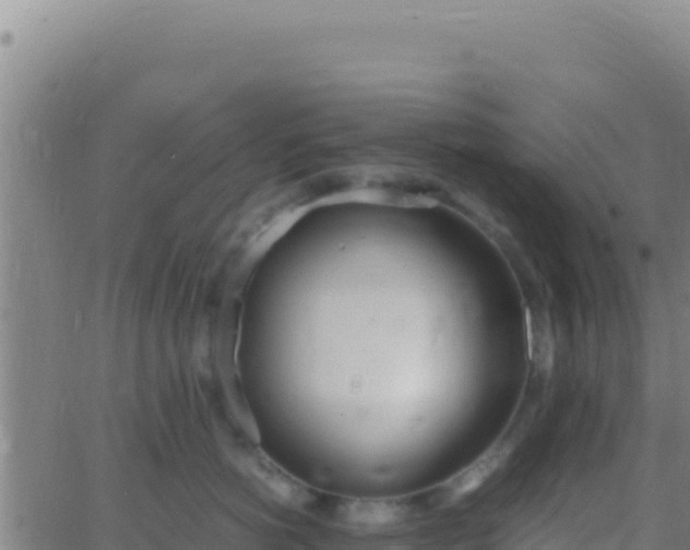 X0000062930766200601202027