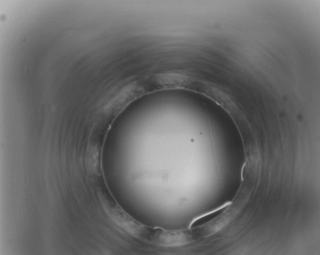 X0000062930767200601202027