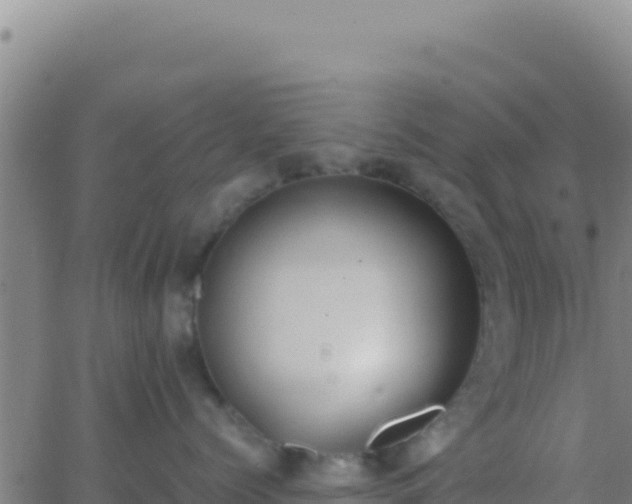 X0000062930768200601202027