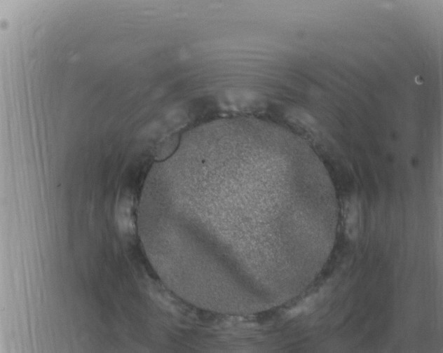 X0000062930770200601202026