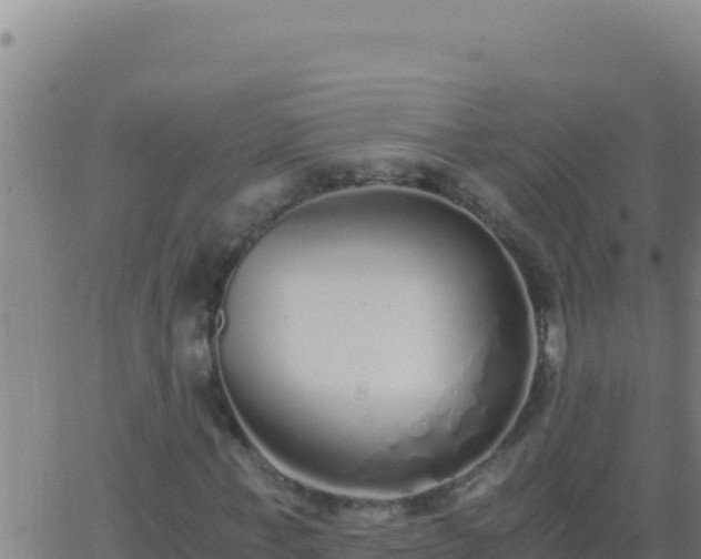 X0000062930771200601202026