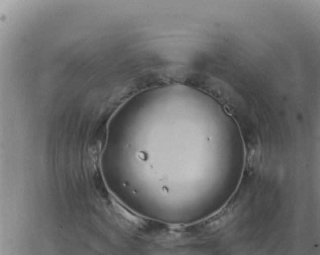 X0000062930772200601202026