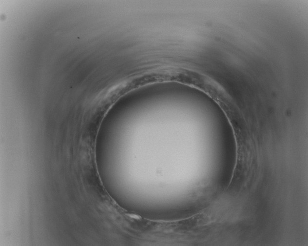 X0000062930773200601202026