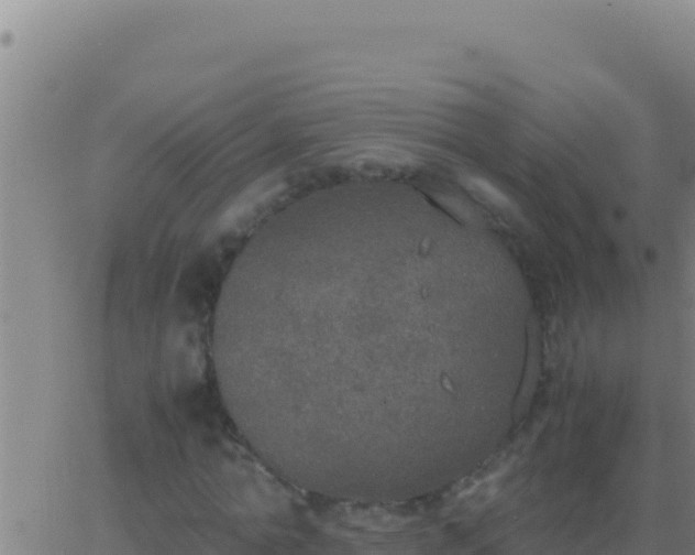 X0000062930774200601202026