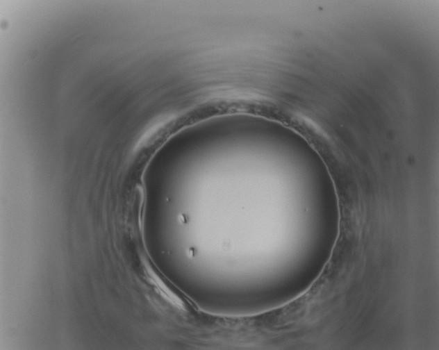 X0000062930775200601202026