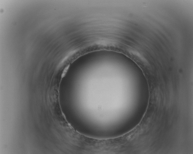 X0000062930776200601202026