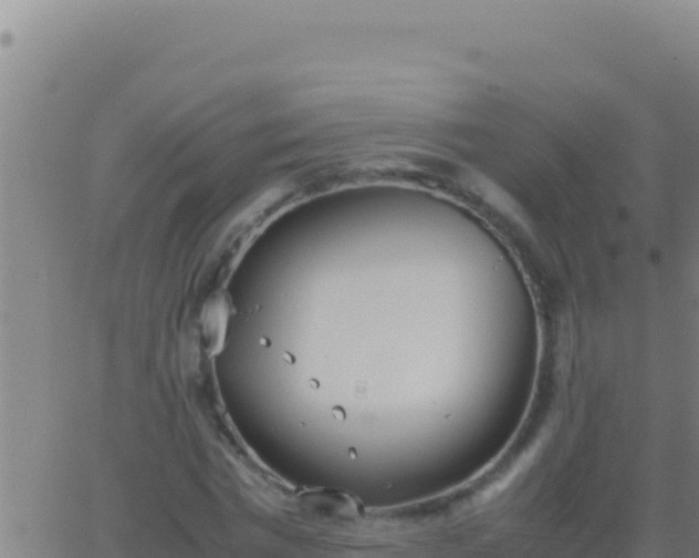 X0000062930777200601202026