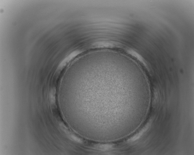 X0000062930778200601202026