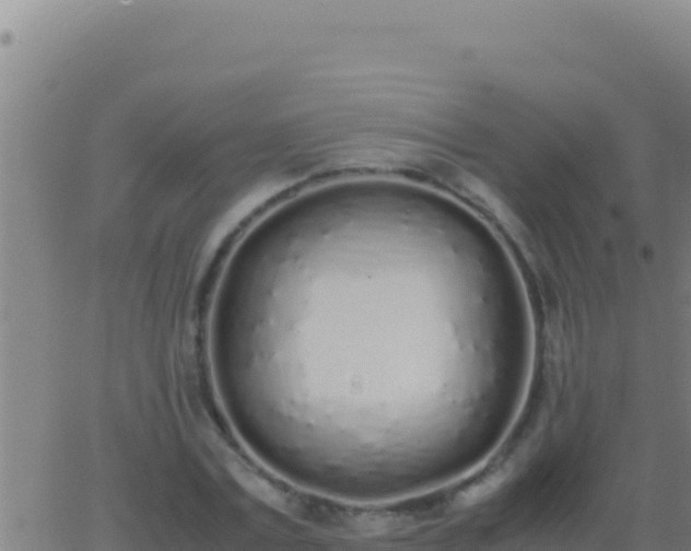 X0000062930779200601202026