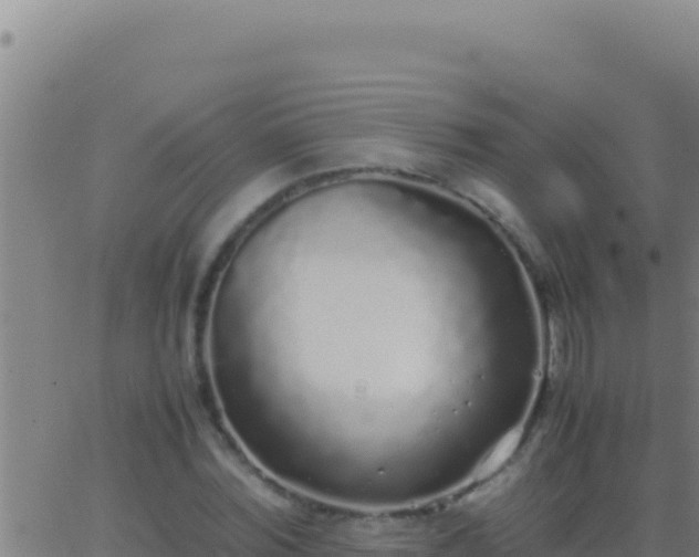 X0000062930780200601202026