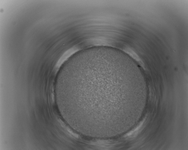 X0000062930782200601202026