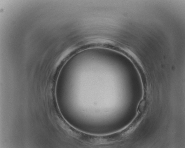 X0000062930783200601202026