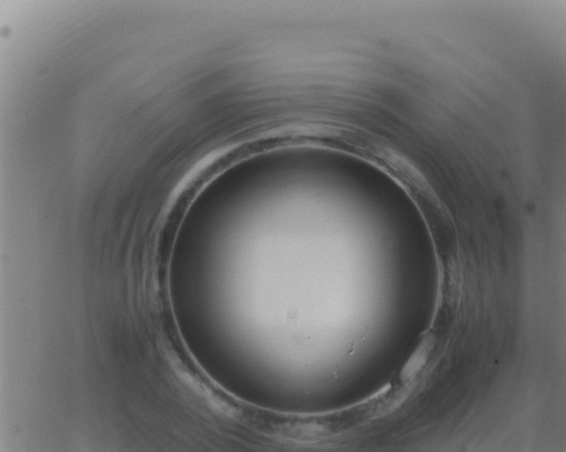 X0000062930784200601202026