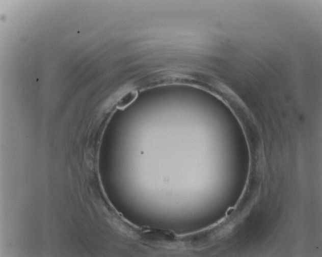 X0000062930785200601202025