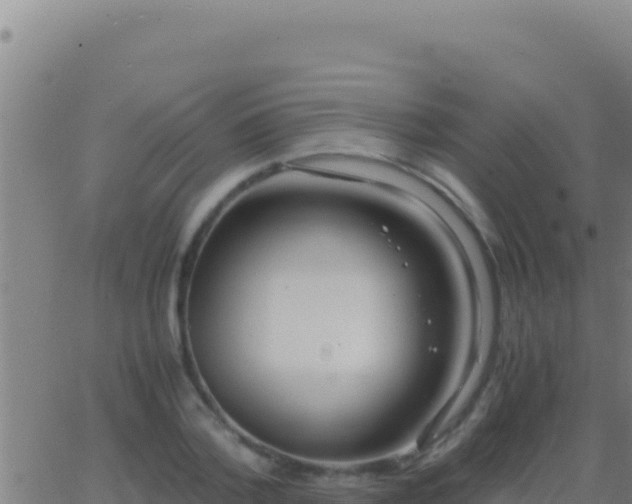 X0000062930788200601202025