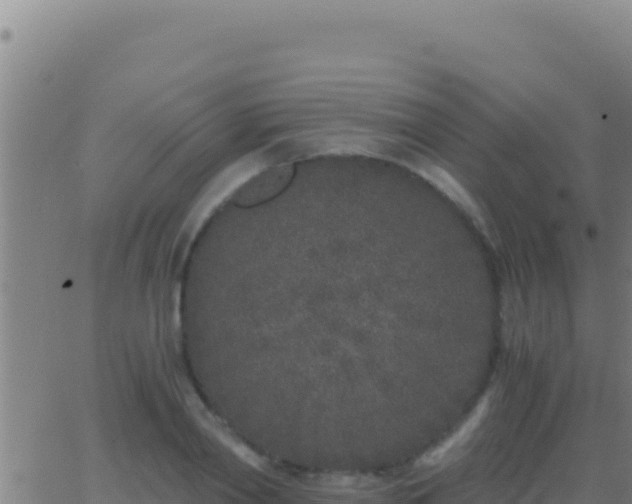 X0000062930790200601202025