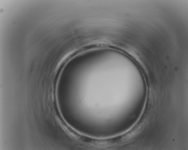 X0000062930791200601202025