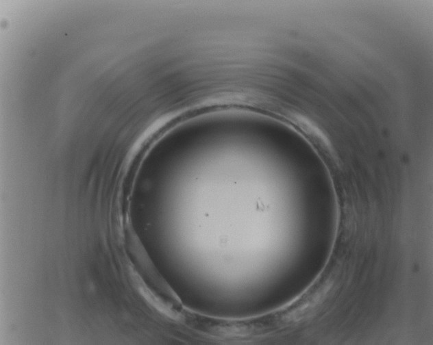 X0000062930792200601202025