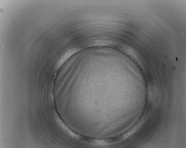 X0000062930794200601202025