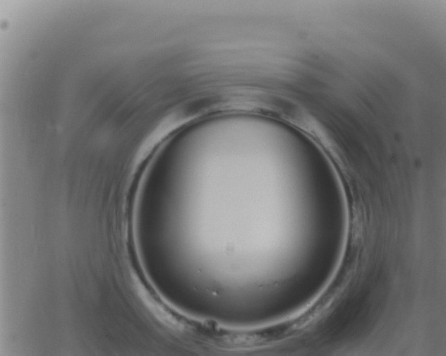 X0000062930795200601202025