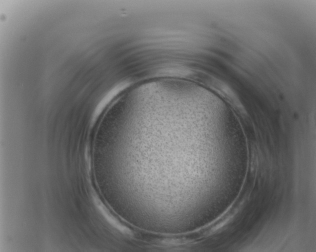 X0000062930796200601202025