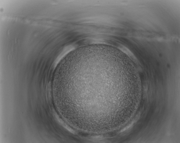 X0000062930798200601202025