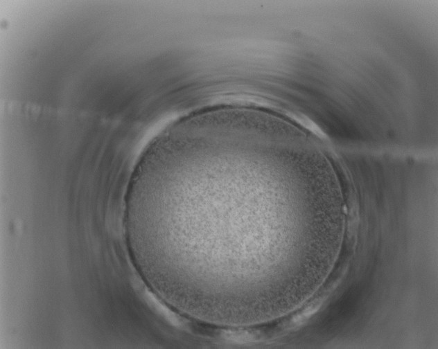 X0000062930799200601202025