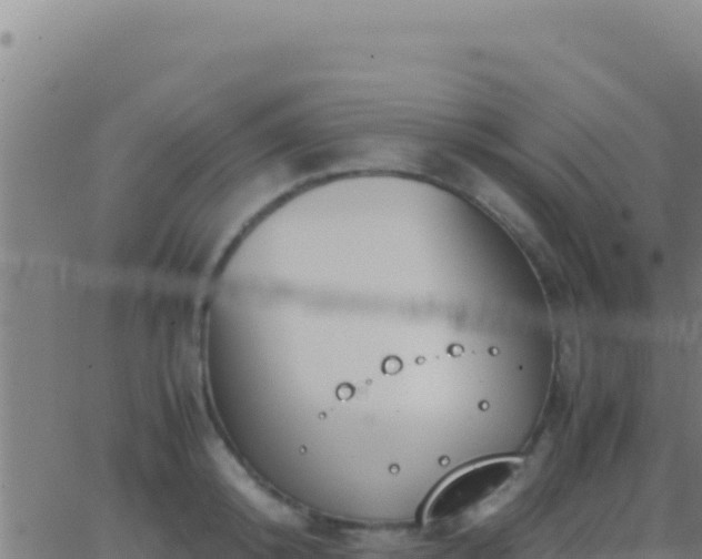 X0000062930800200601202025