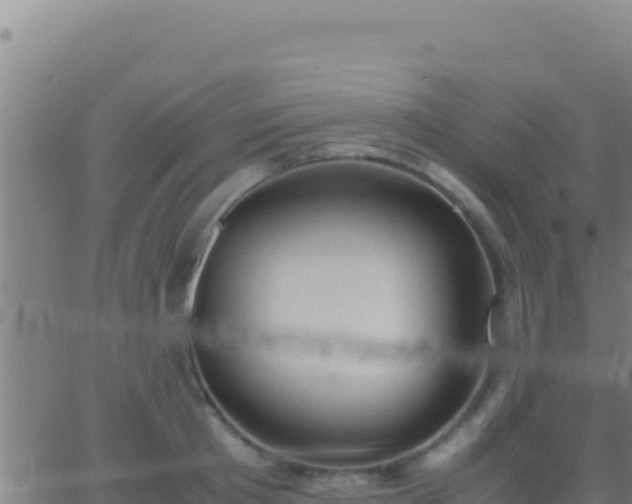 X0000062930801200601202025