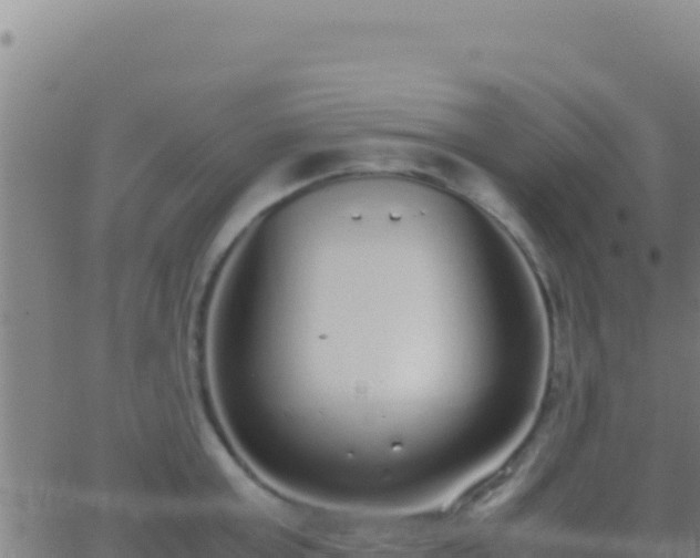 X0000062930803200601202025