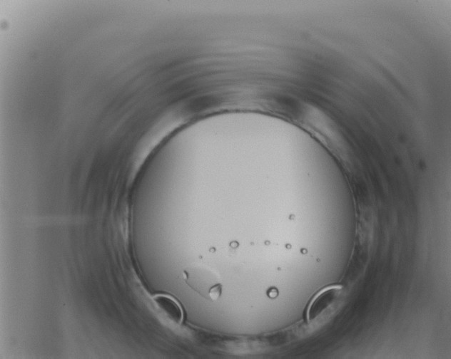 X0000062930804200601202025