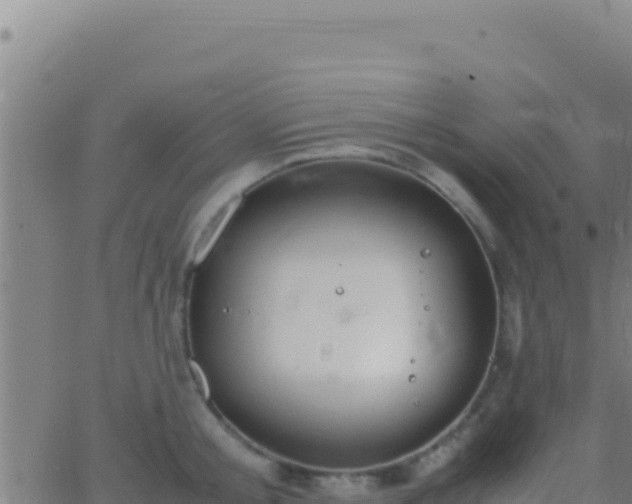 X0000062930805200601202025