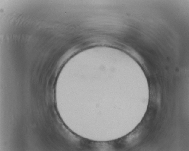 X0000062930807200601202025