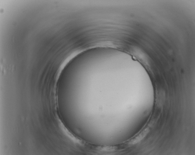 X0000062930808200601202025